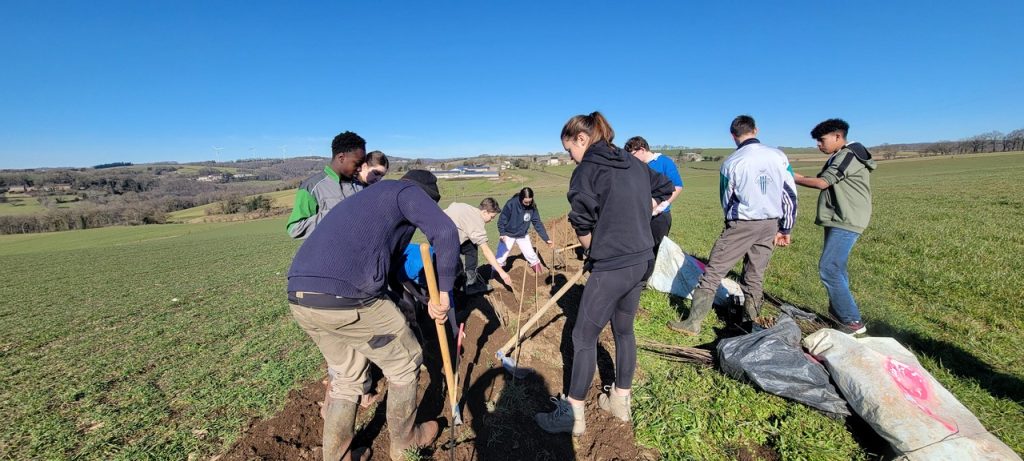 Plantation Haie 2025