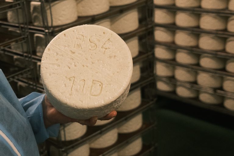 Visite de la Laiterie de Réquista