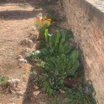 Jardin 2026