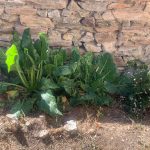 Jardin 2026
