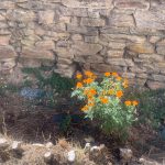 Jardin 2026
