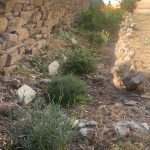 Jardin 2026