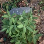 Jardin 2026